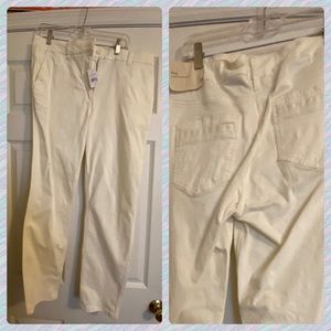 NWT Loft Pants size 14